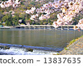 Sakura and Togetsu bridge 13837635