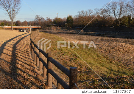 Beppu Numa Park熊谷市1月 13837867