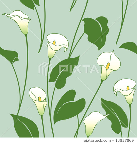 Calla lily pattern 13837869