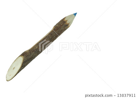 Big Wooden Wood Tree Bark Timber Twig Log Color Pencil Big Wooden Wood Tree Bark Timber Twig Log Color Pencil 13837911