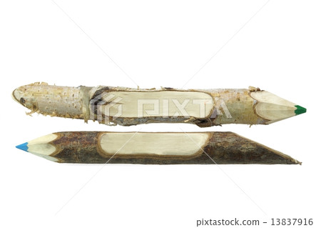 Two Color Big Pencil Made From Natural Wood Twig 13837916