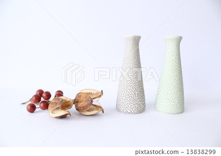 瓶子和植物 13838299