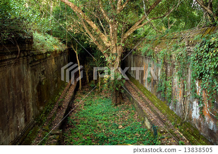 Temple Overgrown by the Jungle 13838505