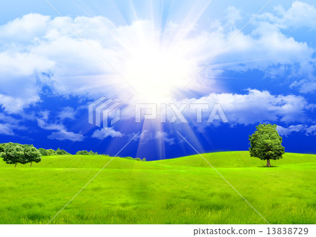 Green glade 13838729
