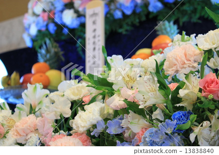 花壇 13838840