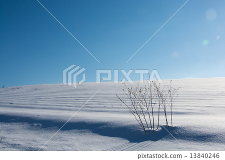 Blue sky and snowy field 13840246