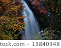 autumn leaves 13840348