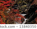 Autumn Leaves 13840350