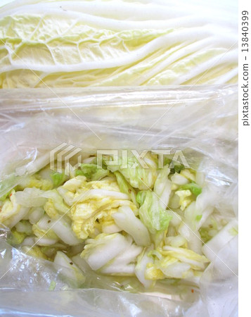 Easy pickled in plastic bag 13840399