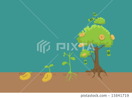 Evolution of money tree 13841719