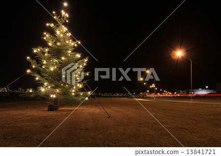 Christmas tree in Selcuar Turnaners (Christmas tree in Seltjarnarnes) Christmas tree in Selcuar Turnaners (Christmas tree in Seltjarnarnes) 13841721