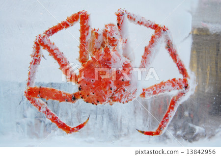 螃蟹在冰上 13842956