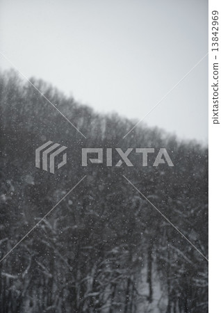 Snowfall (Hokkaido) 13842969