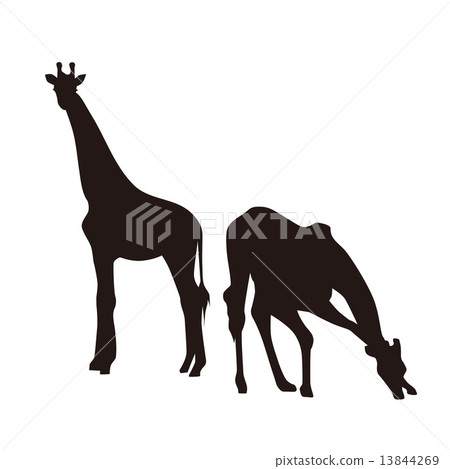 麒麟動物切割圖片 13844269