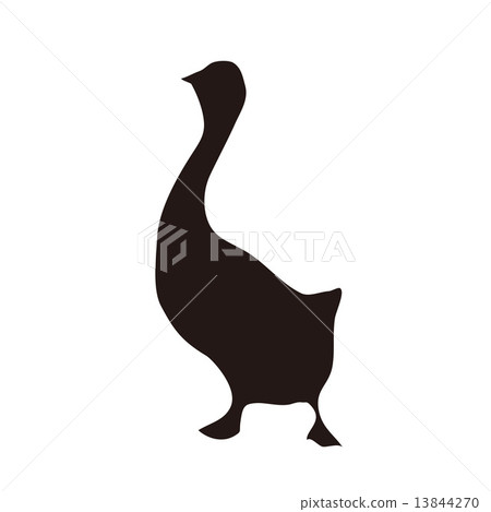 鴨子動物剪了圖片 13844270