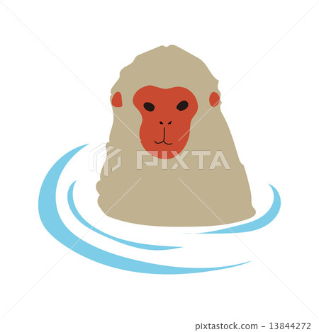 Monkey monkey animal 13844272