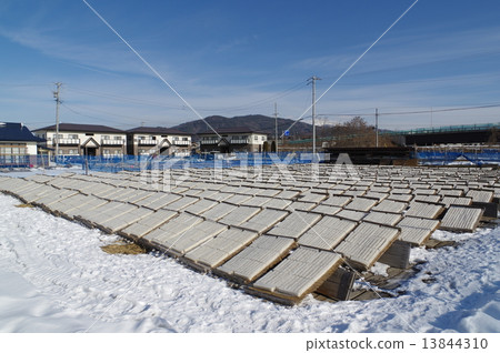 角落瓊脂生產風景（長野縣Su訪區） 13844310
