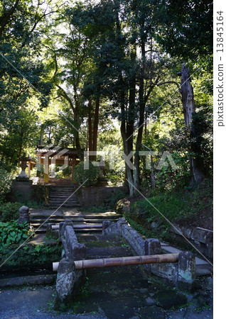 Kamakura Goyama Jodoji寺Honori&Somon(高麗門)神奈川縣鎌倉市山之內 Kamakura Goyama Jodoji寺Honori&Somon(高麗門)神奈川縣鎌倉市山之內 13845164