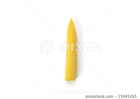 Baby cone 13845265