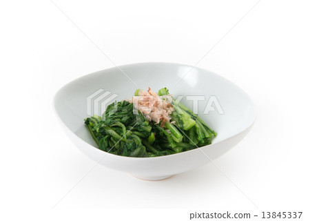 大田俊菊 13845337