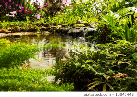 Waterfall in garden design. Waterfall in garden design. 13845448