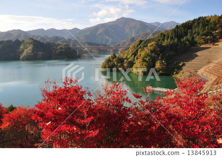 宮城湖的秋天 13845913