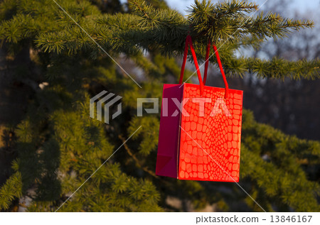 Romantic surprise, a gift hanging from a branch 13846167