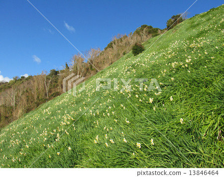 Nada Kuroiwa Water Sengoku Nada Kuroiwa Water Sengoku 13846464