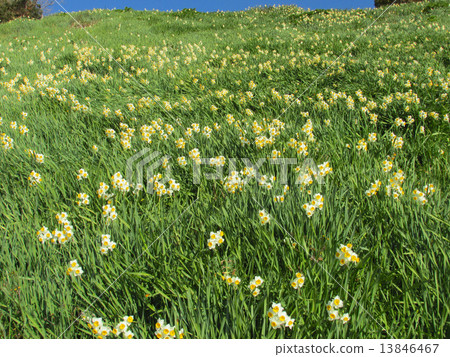 Nada Kuroiwa Water Sengoku Nada Kuroiwa Water Sengoku 13846467