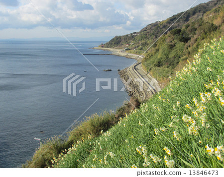 Nada Kuroiwa Water Sengoku Nada Kuroiwa Water Sengoku 13846473