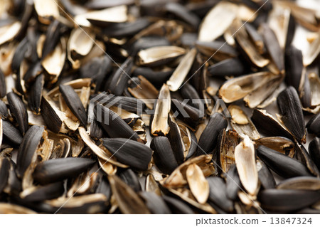 Sunflower seed husk Sunflower seed husk 13847324