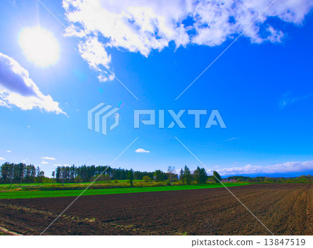 Extensive farm landscape in Minami-Tokachi plain 13847519