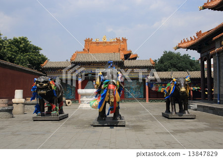 China Hohhot Otsukaji China Hohhot Otsukaji 13847829