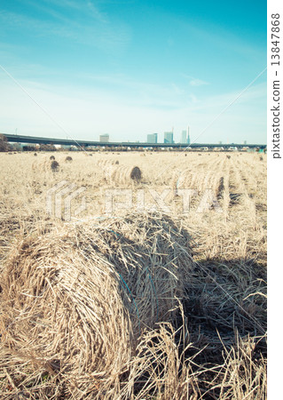 Uenuma Rice field和Saitama Shintoshin Center Uenuma Rice field和Saitama Shintoshin Center 13847868