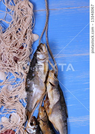 Dried fish with fishing net on blue background 13848067
