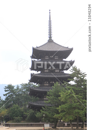 興福寺 興福寺 13848294