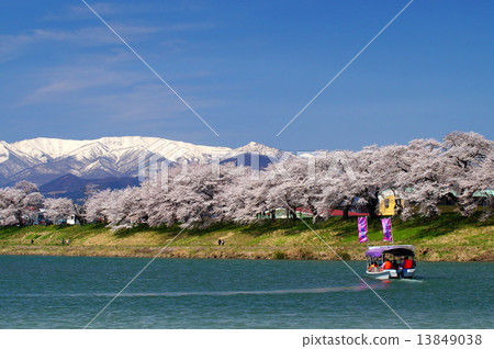 白石川岸 人見千本櫻(宮城縣大河原町) 白石川岸 人見千本櫻(宮城縣大河原町) 13849038