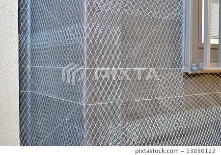 Las stretch 13850122