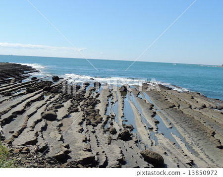 Nichinan Coast Senjojiki 13850972
