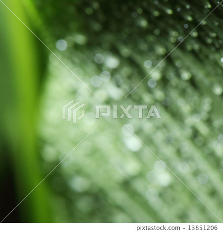 abstract green bokeh light background abstract green bokeh light background 13851206