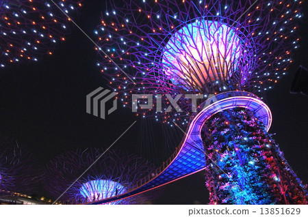 Illuminations of Gardens by the Bay 13851629