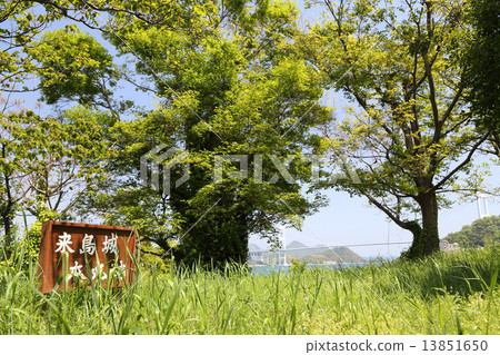 Koshima Castle Ruins 13851650