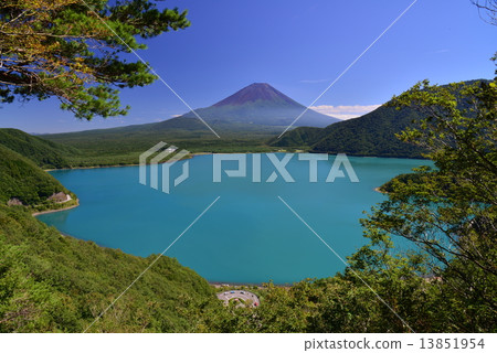 來自本栖湖的富士山 13851954