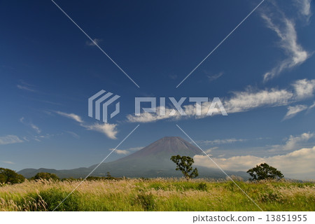 夏季富士 夏季富士 13851955