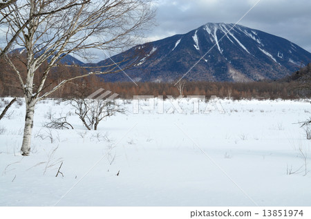 Winter Odashiro is original 13851974