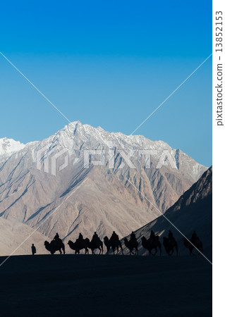 Caravan of travellers 13852153