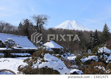 Japanese gardens and Mt. Fuji 13852475