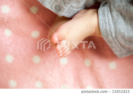 infant, baby, feet 13852825