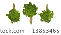 Photo of three bunches of parsley isolated on white background 13853465