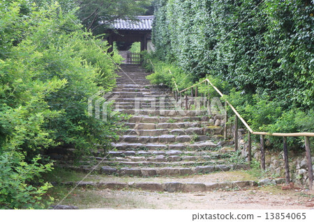 Byakugoji 13854065
